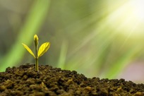 Entreprise spécialisée dans la création et l’entretien d’espaces verts