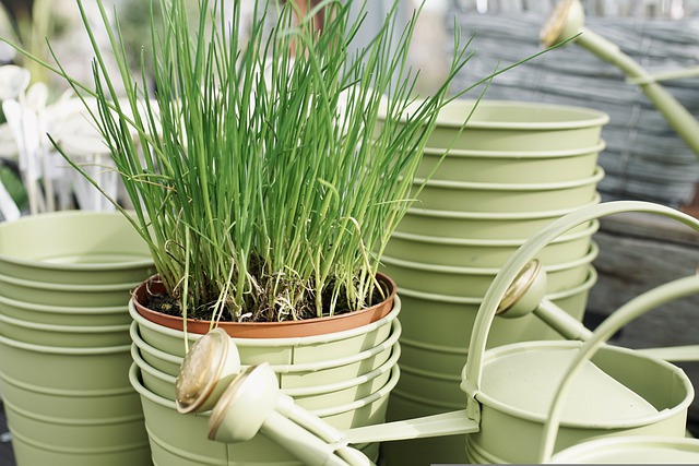 Jardinerie